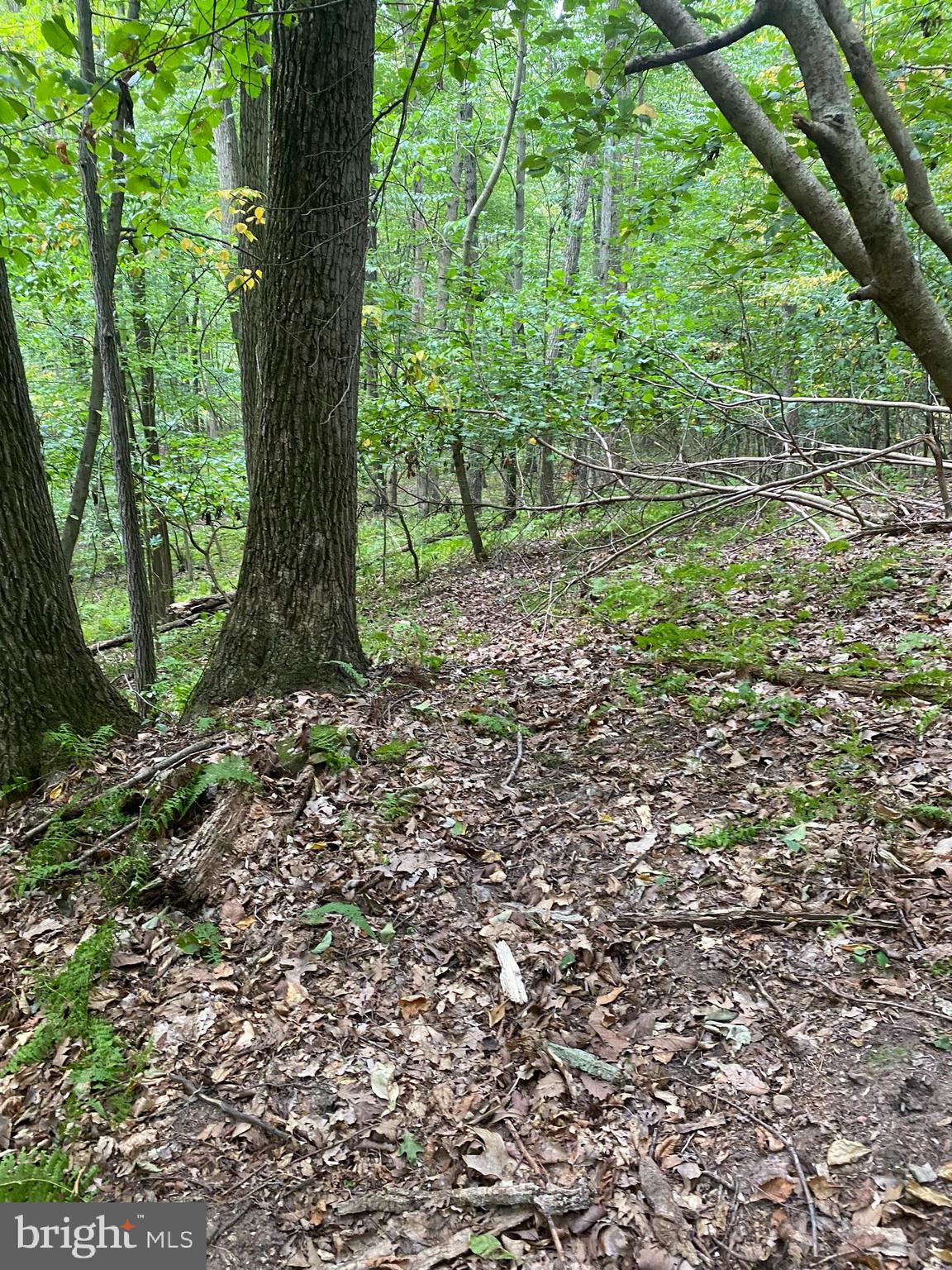 791 Mine Road Lebanon, PA 17042 - Photo 13 of 13 Gallery Image 13