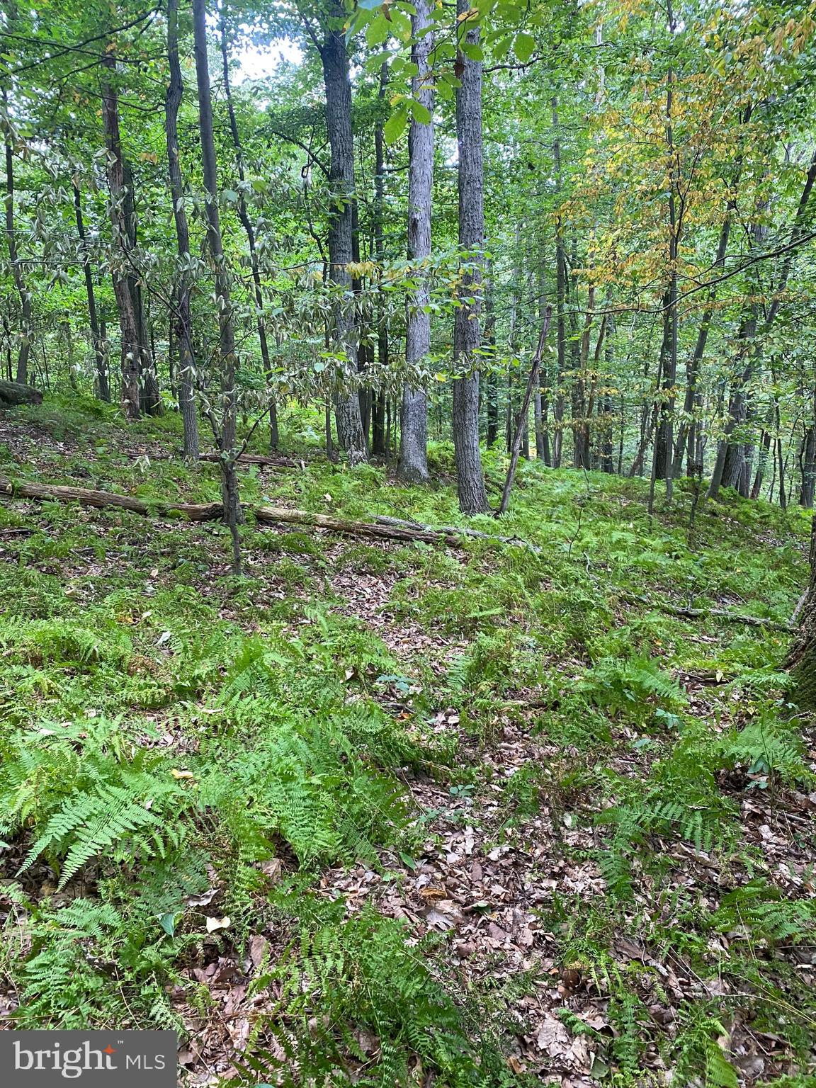 791 Mine Road Lebanon, PA 17042 - Photo 2 of 13 Some sloping to the lot