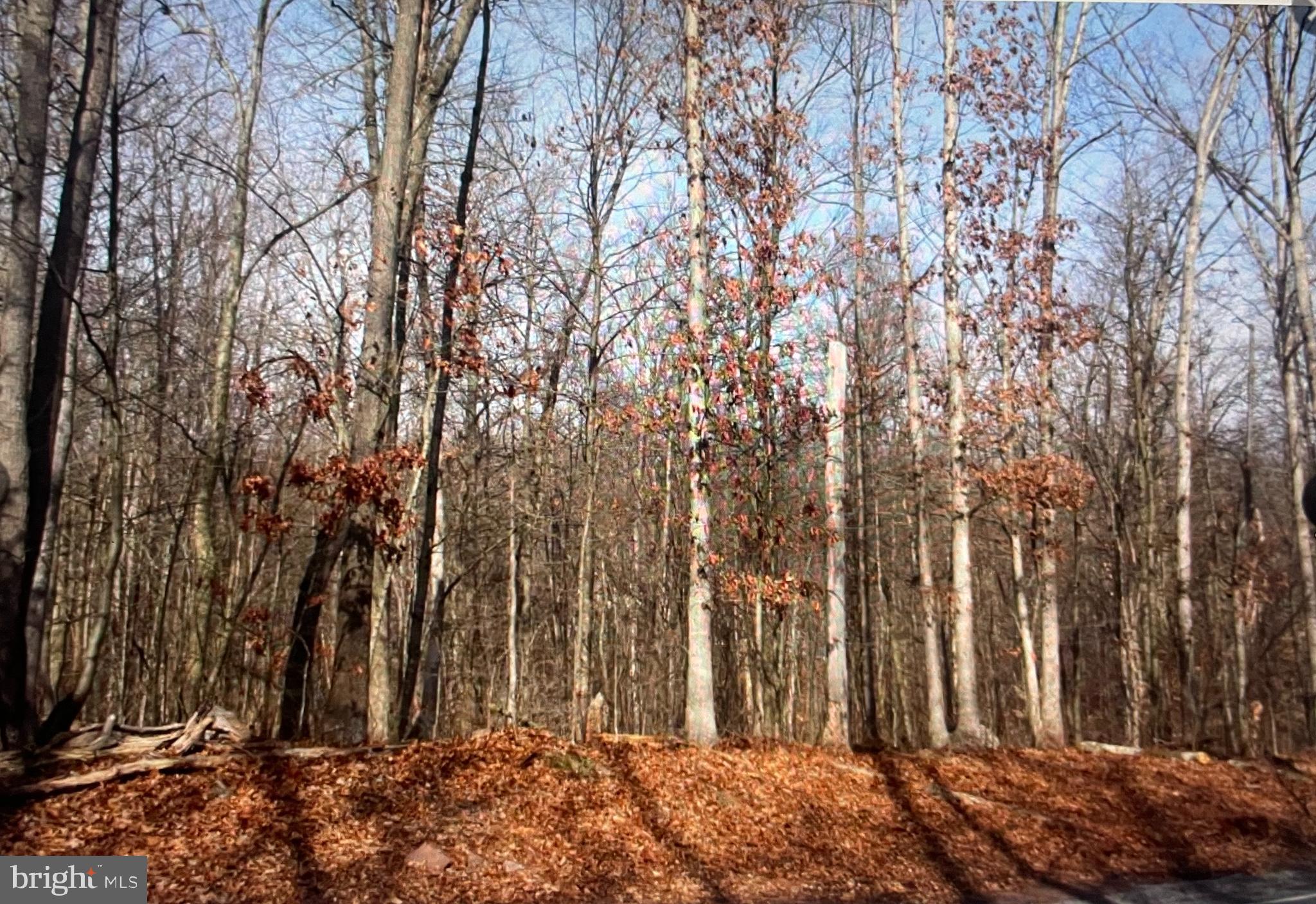 791 Mine Road Lebanon, PA 17042 - Photo 3 of 13 Front of Lot - Winter
