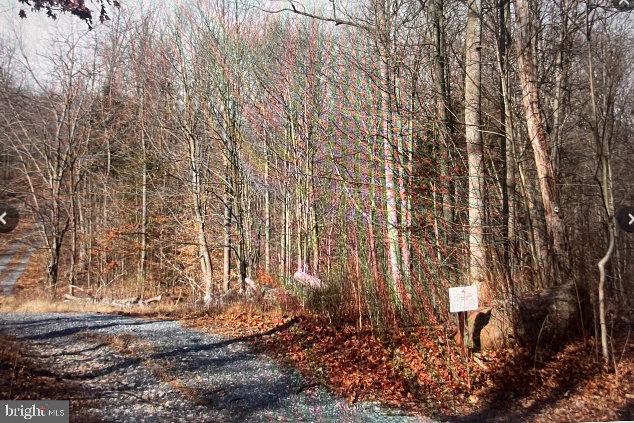 791 Mine Road Lebanon, PA 17042 - Photo 4 of 13 Lane leading to lot