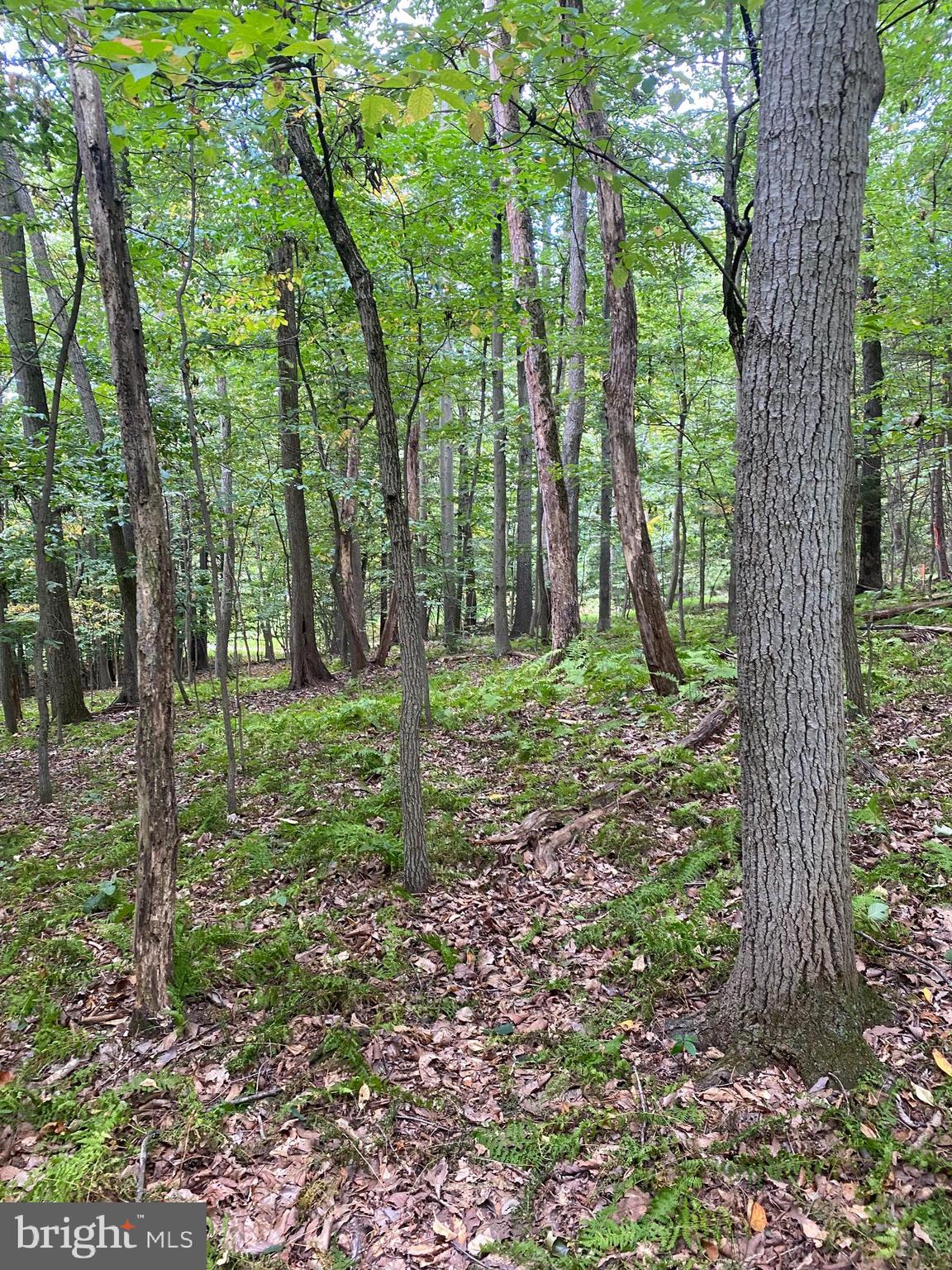 791 Mine Road Lebanon, PA 17042 - Photo 6 of 13 Gorgeous views