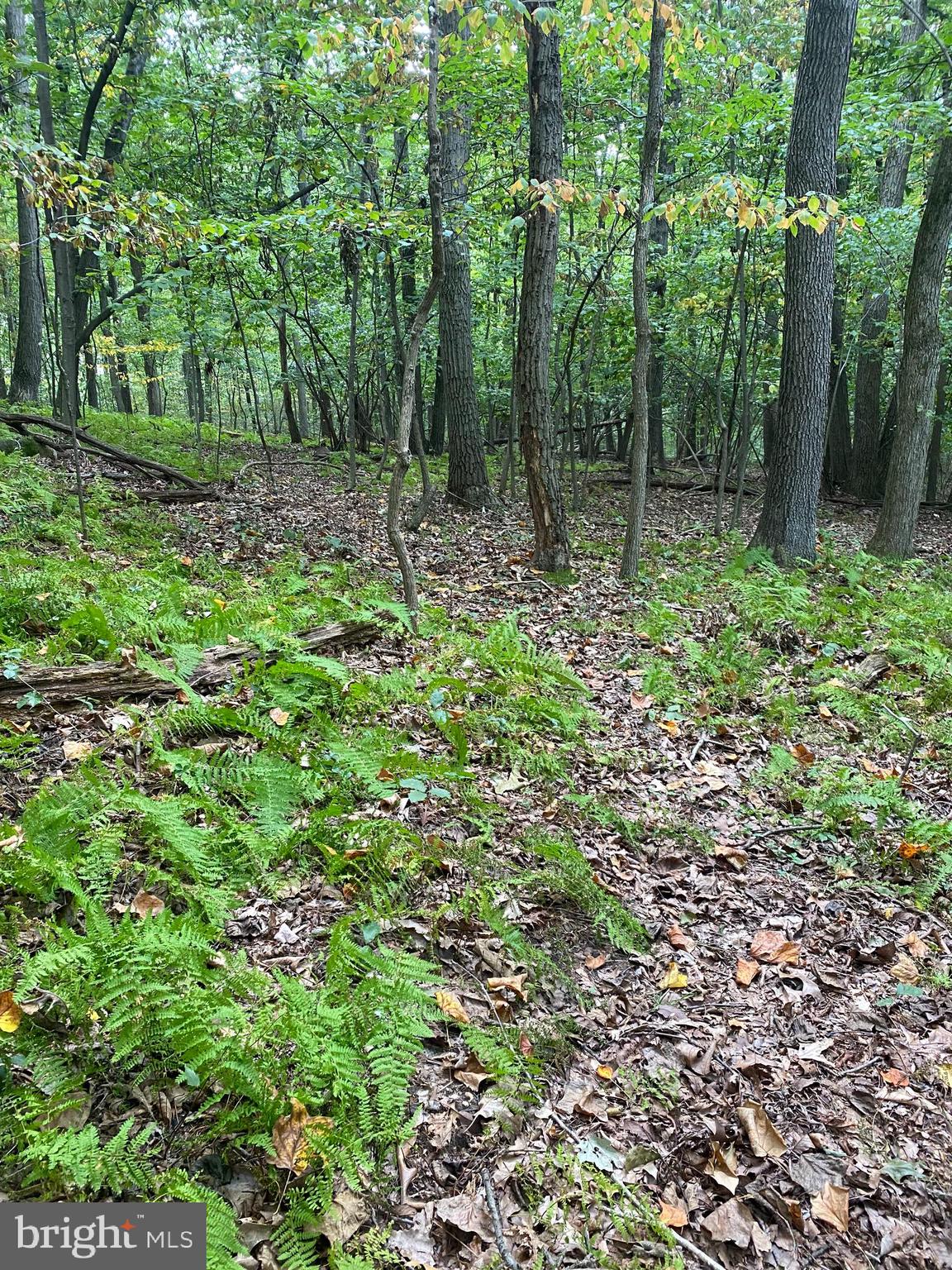 791 Mine Road Lebanon, PA 17042 - Photo 7 of 13 Gallery Image 7