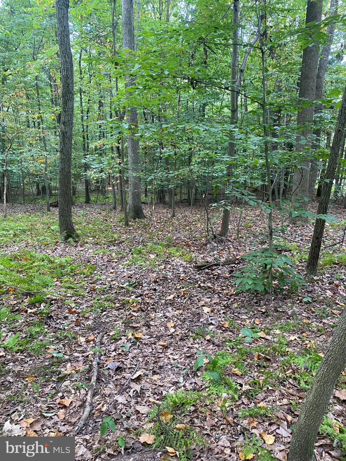 791 Mine Road Lebanon, PA 17042 - Photo 8 of 13 Gallery Image 8