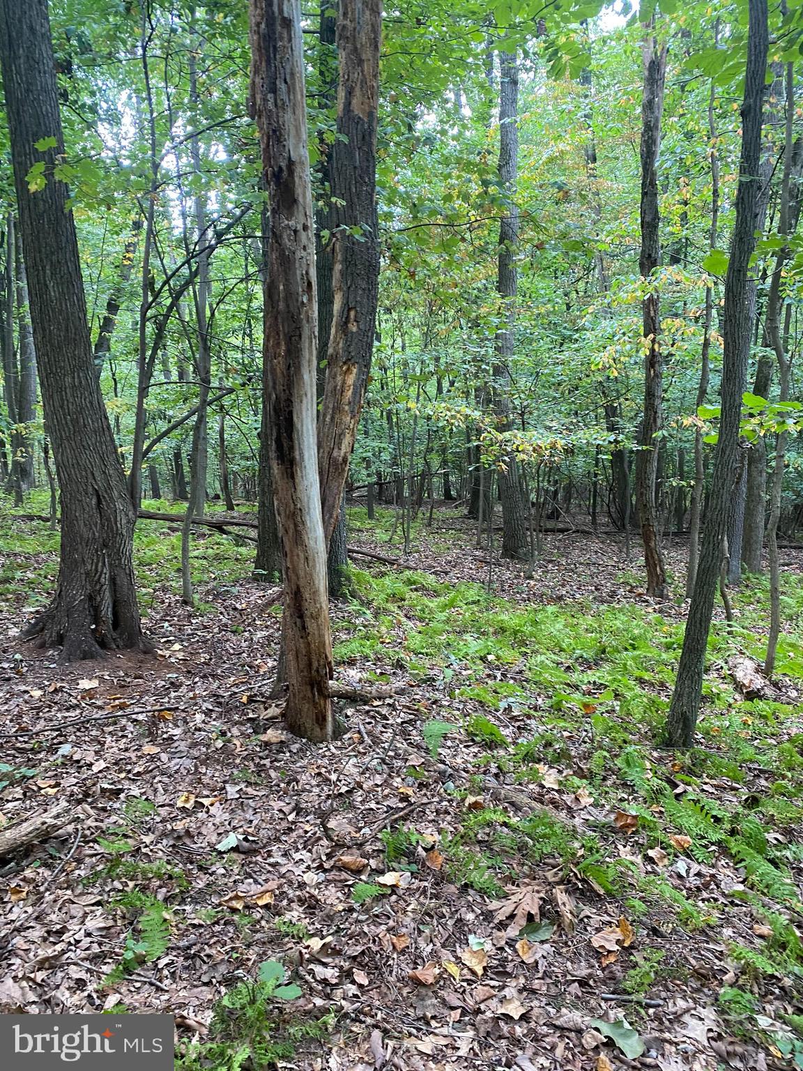 791 Mine Road Lebanon, PA 17042 - Photo 9 of 13 Gallery Image 9