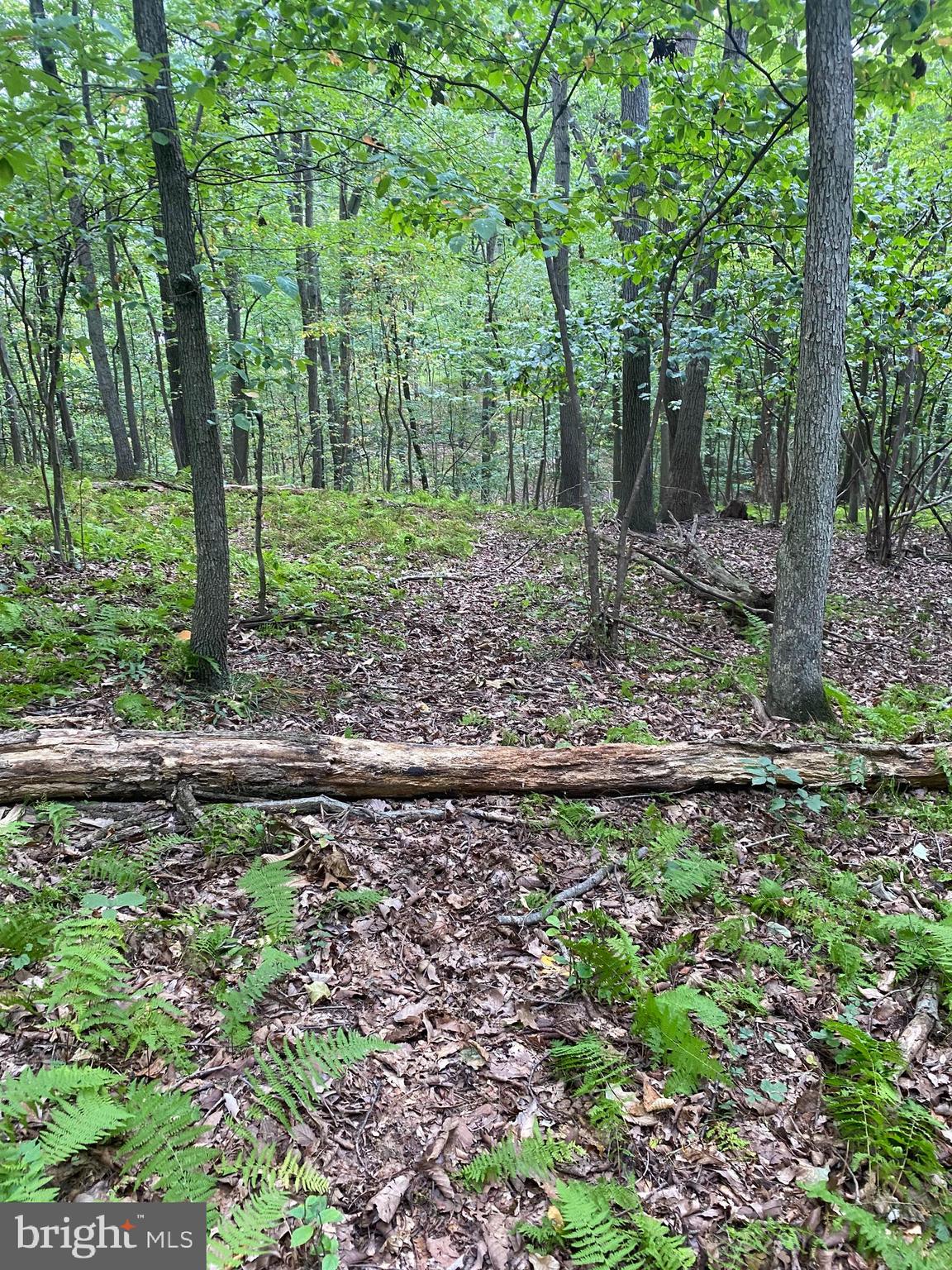 791 Mine Road Lebanon, PA 17042 - Photo 10 of 13 Gallery Image 10