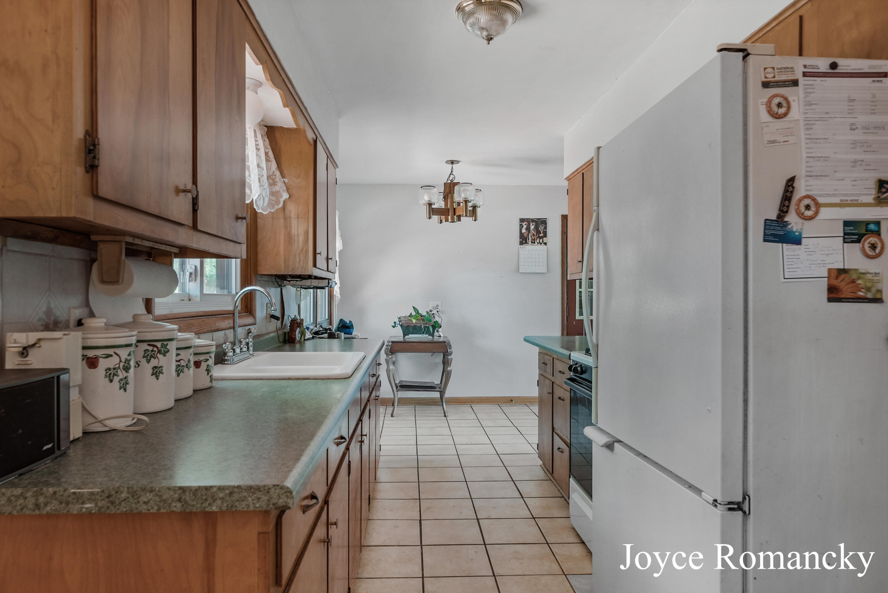 9966 Belding Road Belding, MI 48809 - Photo 13 of 24 DSC04332_3_4