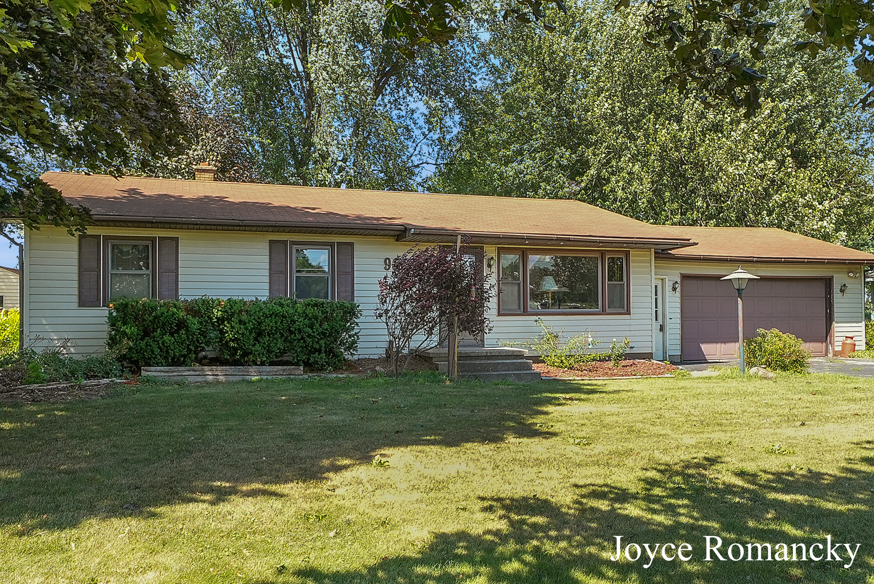 9966 Belding Road Belding, MI 48809 - Photo 2 of 24 DSC04362