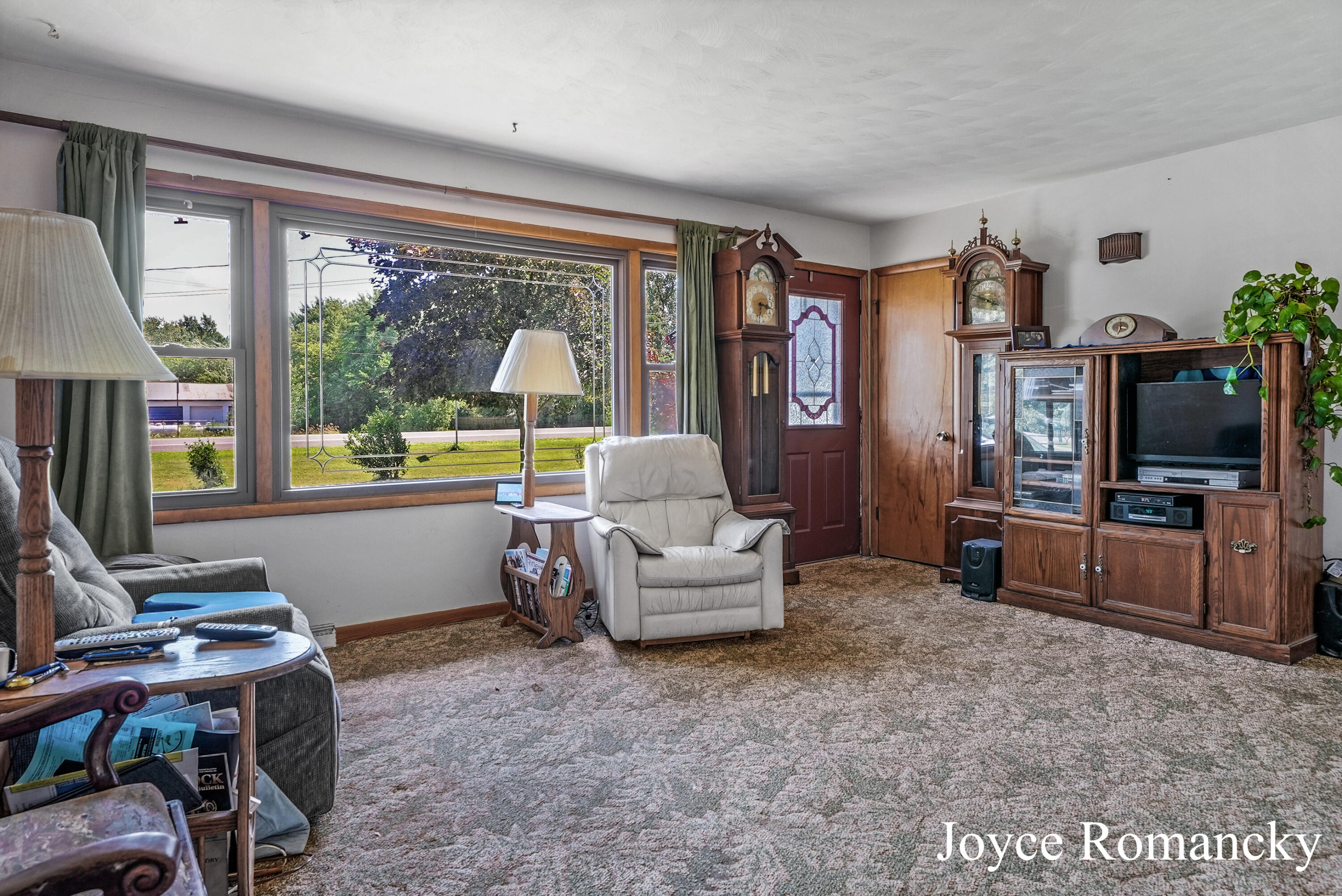 9966 Belding Road Belding, MI 48809 - Photo 4 of 24 DSC04351_2_3