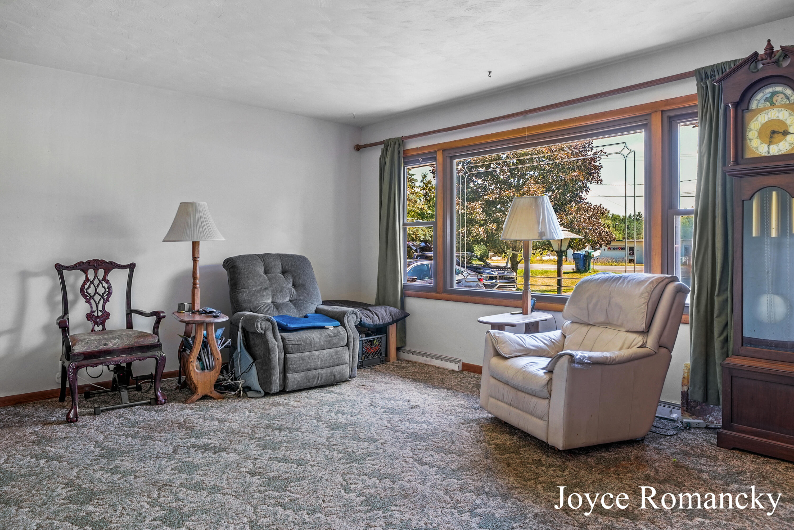 9966 Belding Road Belding, MI 48809 - Photo 5 of 24 DSC04356_7_8