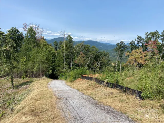 a view of a yard with trees