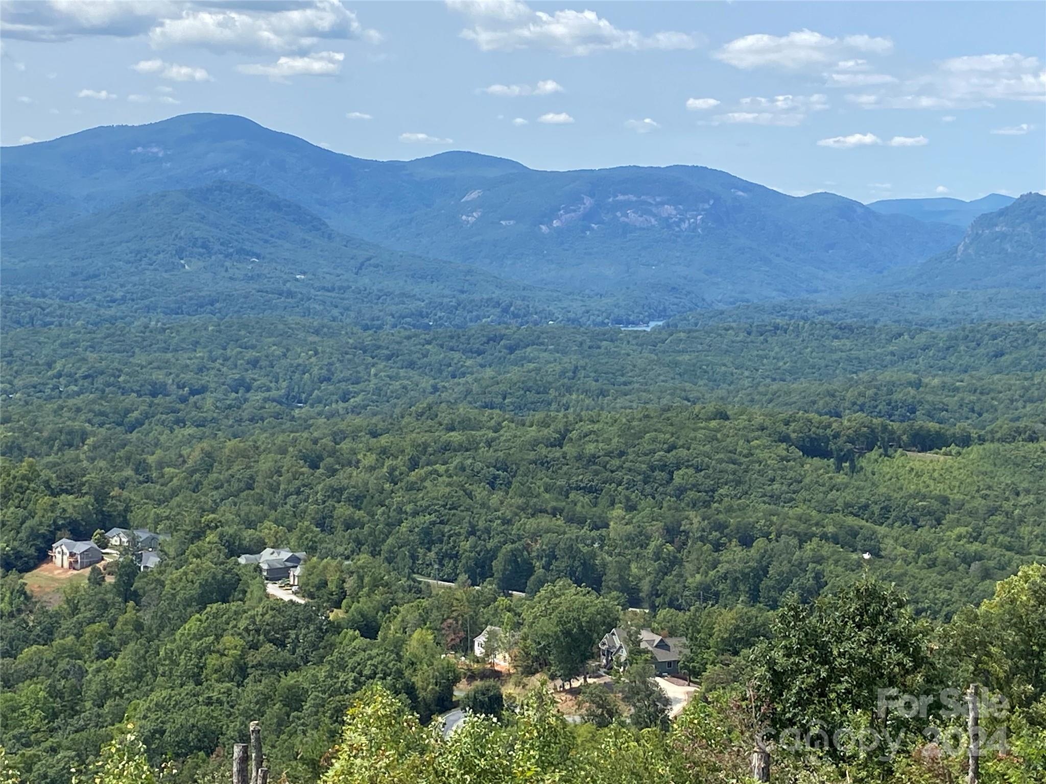 0 Golden Ridge Drive, Unit 134 Lake Lure, NC 28746 - Photo 13 of 30 a view of a lush green hillside and a houses