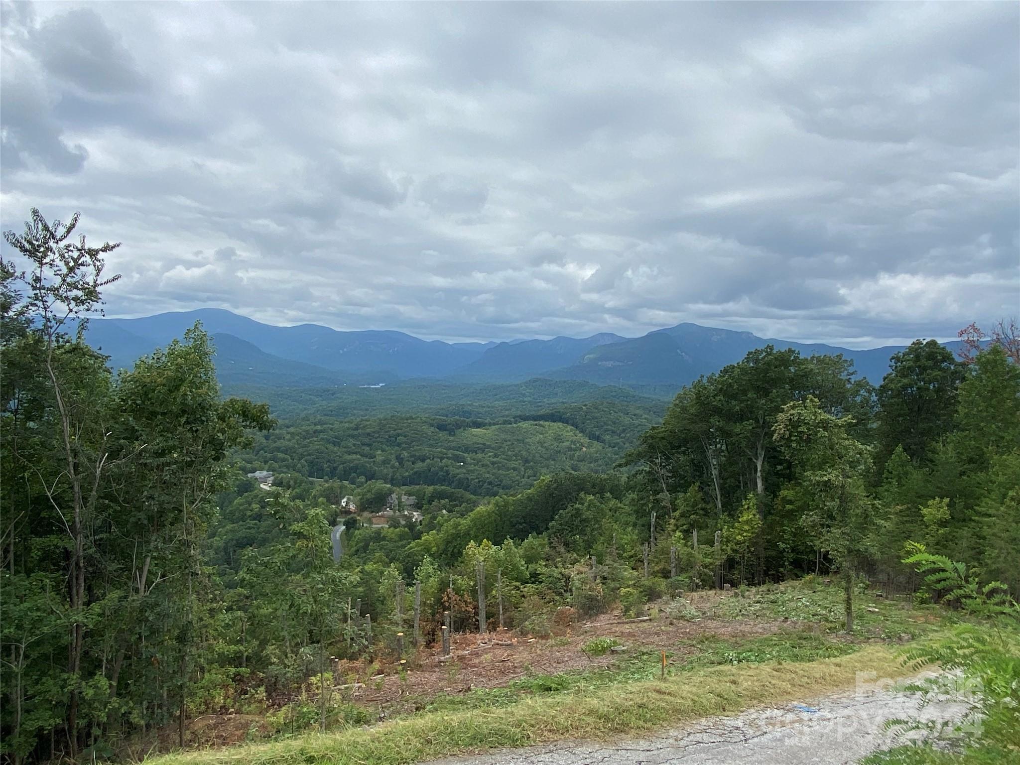 0 Golden Ridge Drive, Unit 134 Lake Lure, NC 28746 - Photo 14 of 30 a view of a city with lush green forest
