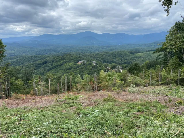 a view of a green field with lots of trees