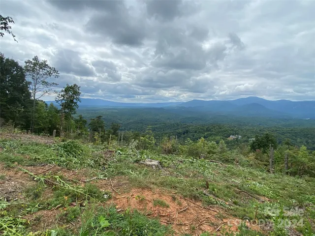 a view of a green field with lots of trees