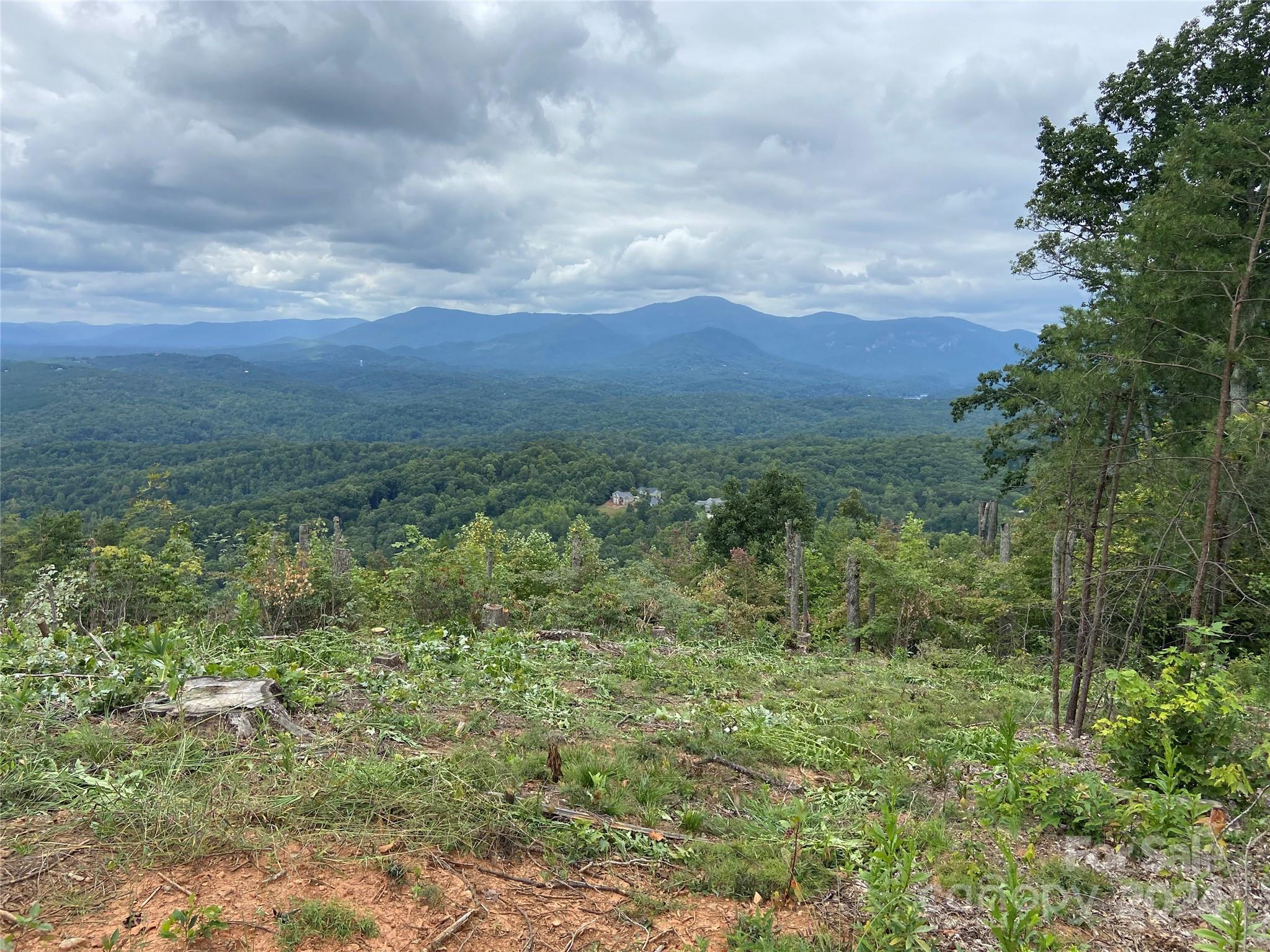 0 Golden Ridge Drive, Unit 134 Lake Lure, NC 28746 - Photo 17 of 30 a view of a green field with lots of bushes