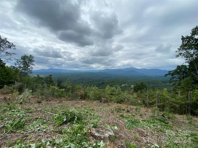 a view of a bunch of trees
