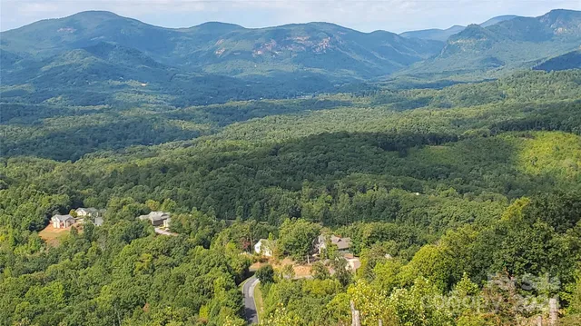 a view of a lush green hillside and a houses