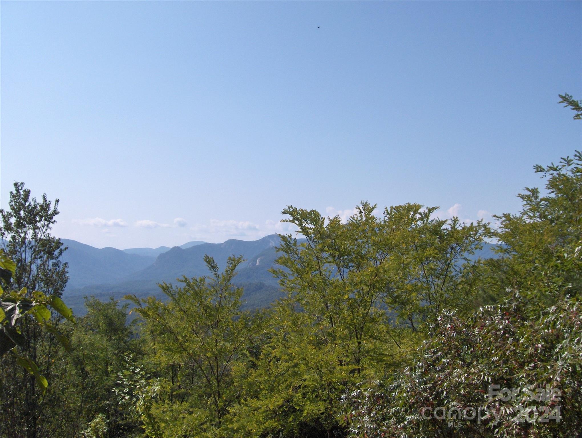 0 Golden Ridge Drive, Unit 134 Lake Lure, NC 28746 - Photo 21 of 30 a view of a field