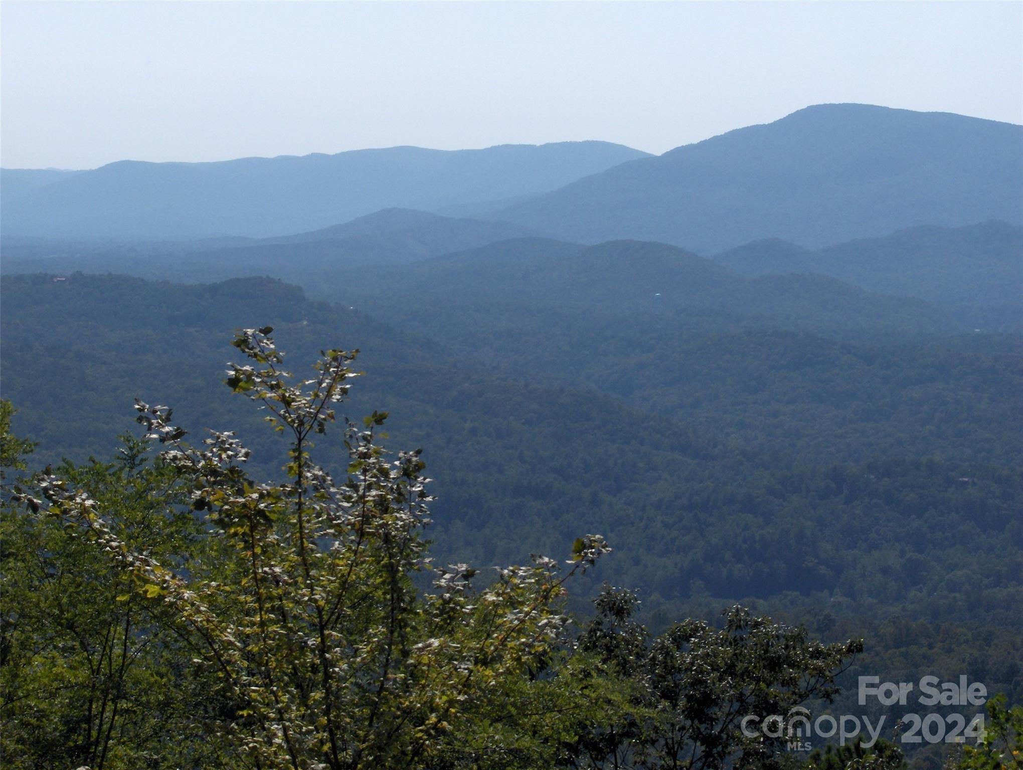 0 Golden Ridge Drive, Unit 134 Lake Lure, NC 28746 - Photo 22 of 30 a view of a lush green hillside and a building