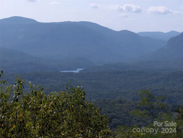 a view of a lush green hillside and a houses