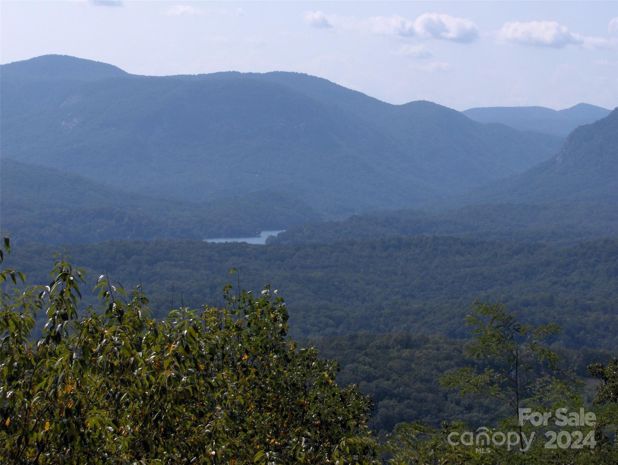 0 Golden Ridge Drive, Unit 134 Lake Lure, NC 28746 - Photo 23 of 30 a view of a lush green hillside and a houses