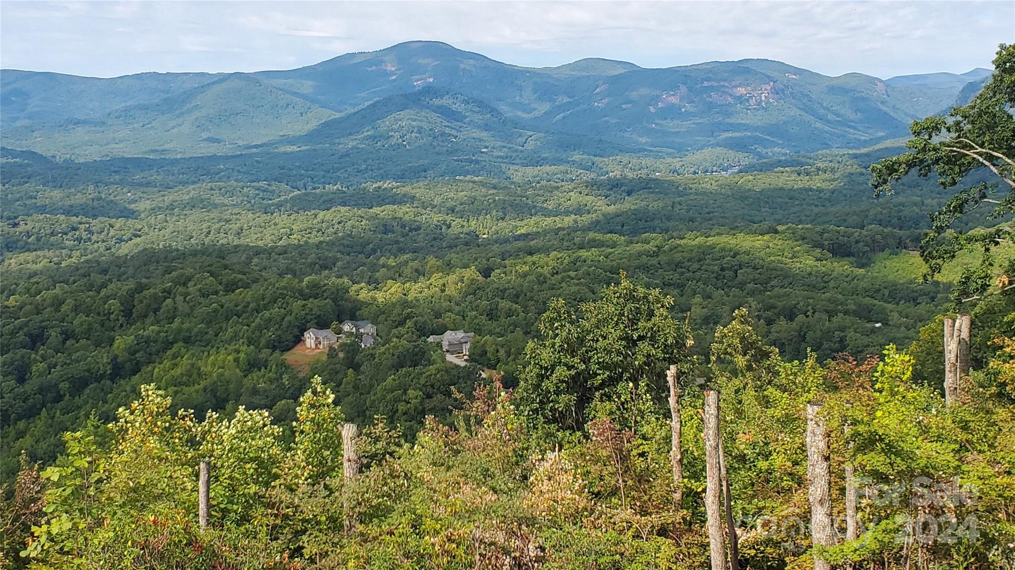 0 Golden Ridge Drive, Unit 134 Lake Lure, NC 28746 - Photo 5 of 30 a view of a lush green hillside and a building