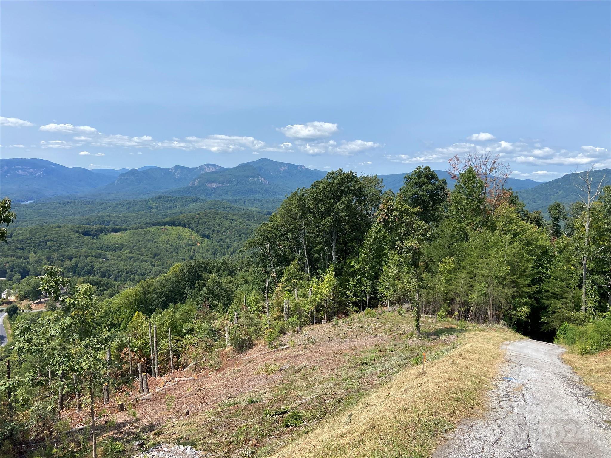 0 Golden Ridge Drive, Unit 134 Lake Lure, NC 28746 - Photo 6 of 30 a view of a yard