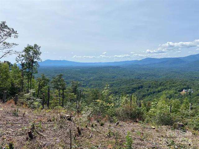 a view of a green field with lots of bushes
