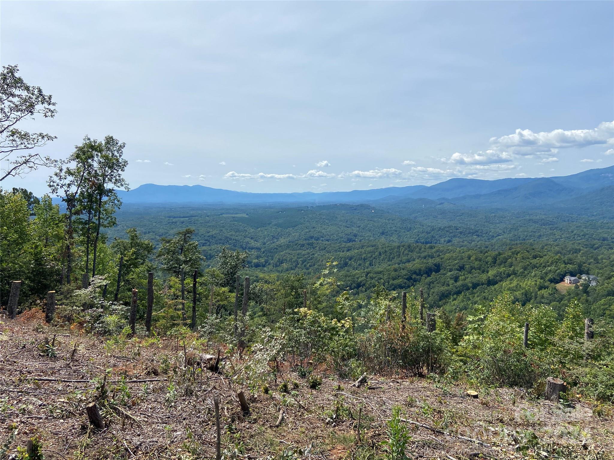 0 Golden Ridge Drive, Unit 134 Lake Lure, NC 28746 - Photo 7 of 30 a view of a green field with lots of bushes