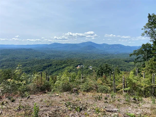 a view of a lake in middle of forest