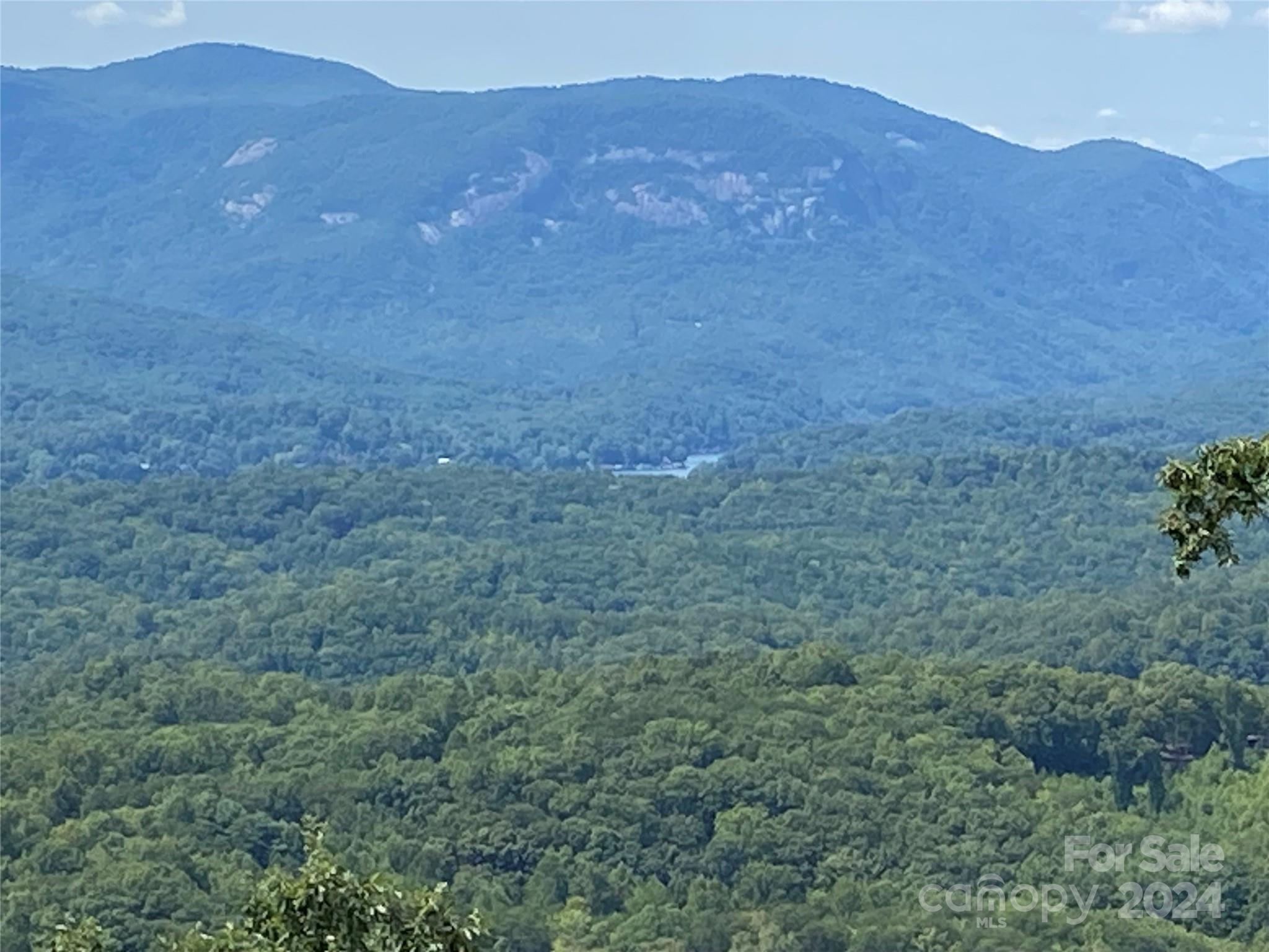 0 Golden Ridge Drive, Unit 134 Lake Lure, NC 28746 - Photo 9 of 30 a view of a big yard with mountains in the background