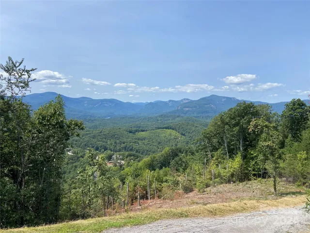 a view of a lush green hillside and a houses