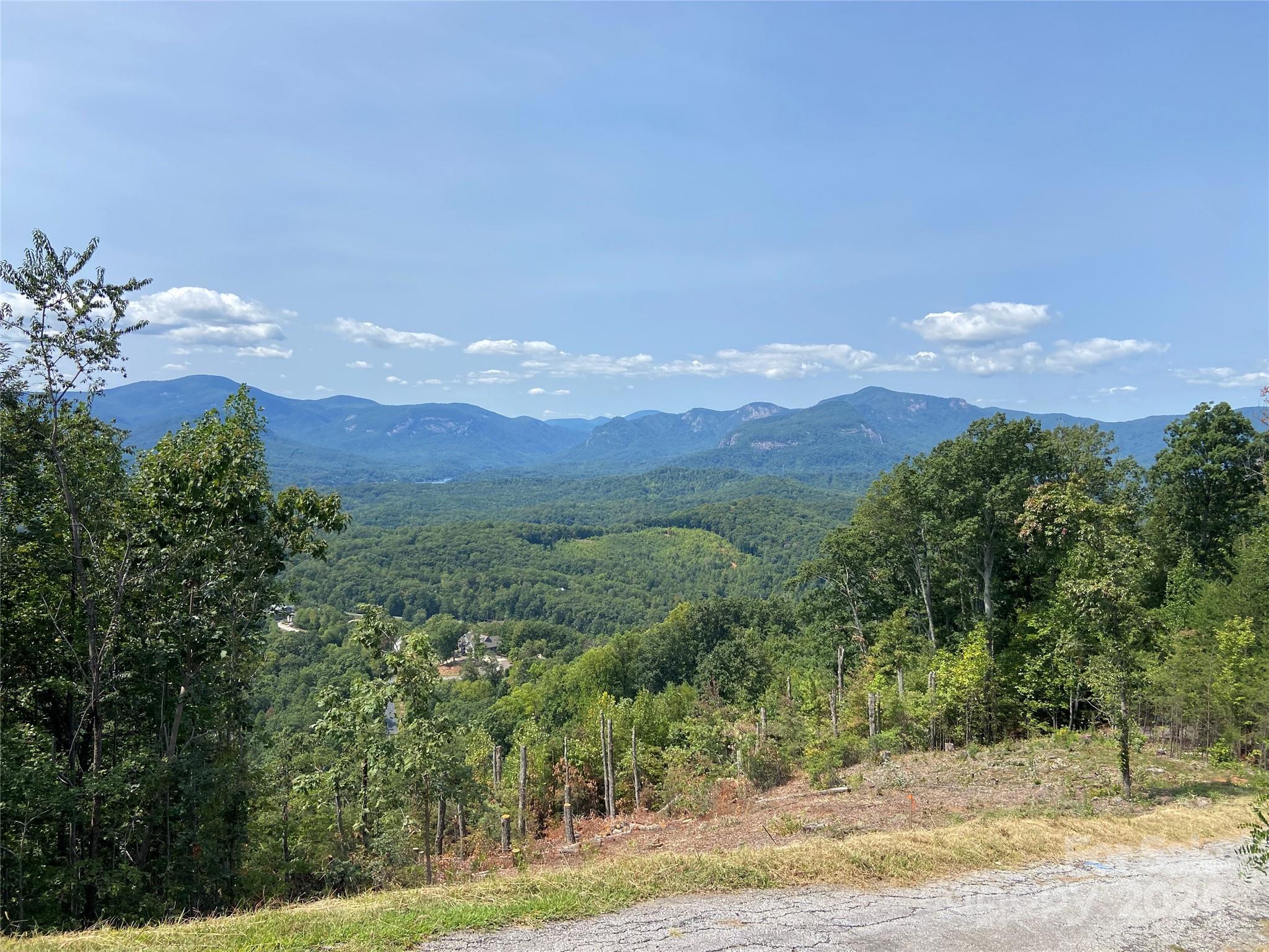 0 Golden Ridge Drive, Unit 134 Lake Lure, NC 28746 - Photo 10 of 30 a view of a lush green hillside and a houses