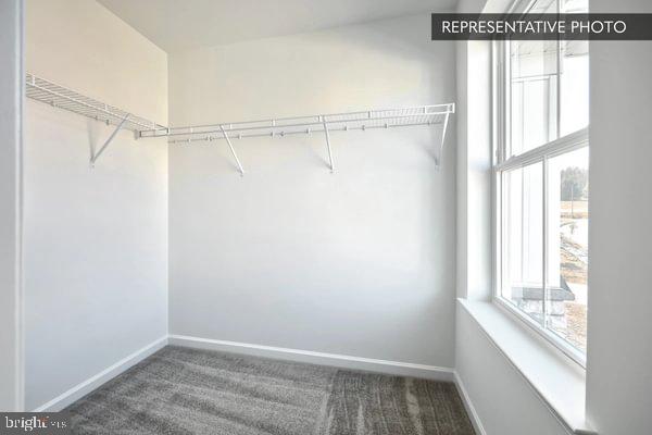 Copper Beech Plan At Hickory Pointe Waynesboro, PA 17268 - Photo 42 of 46