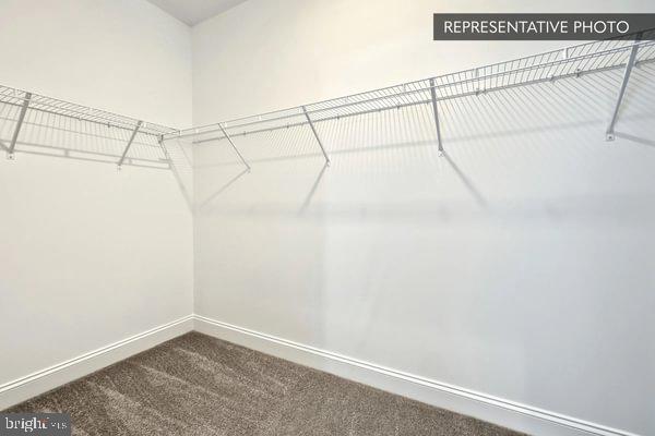 Copper Beech Plan At Hickory Pointe Waynesboro, PA 17268 - Photo 45 of 46