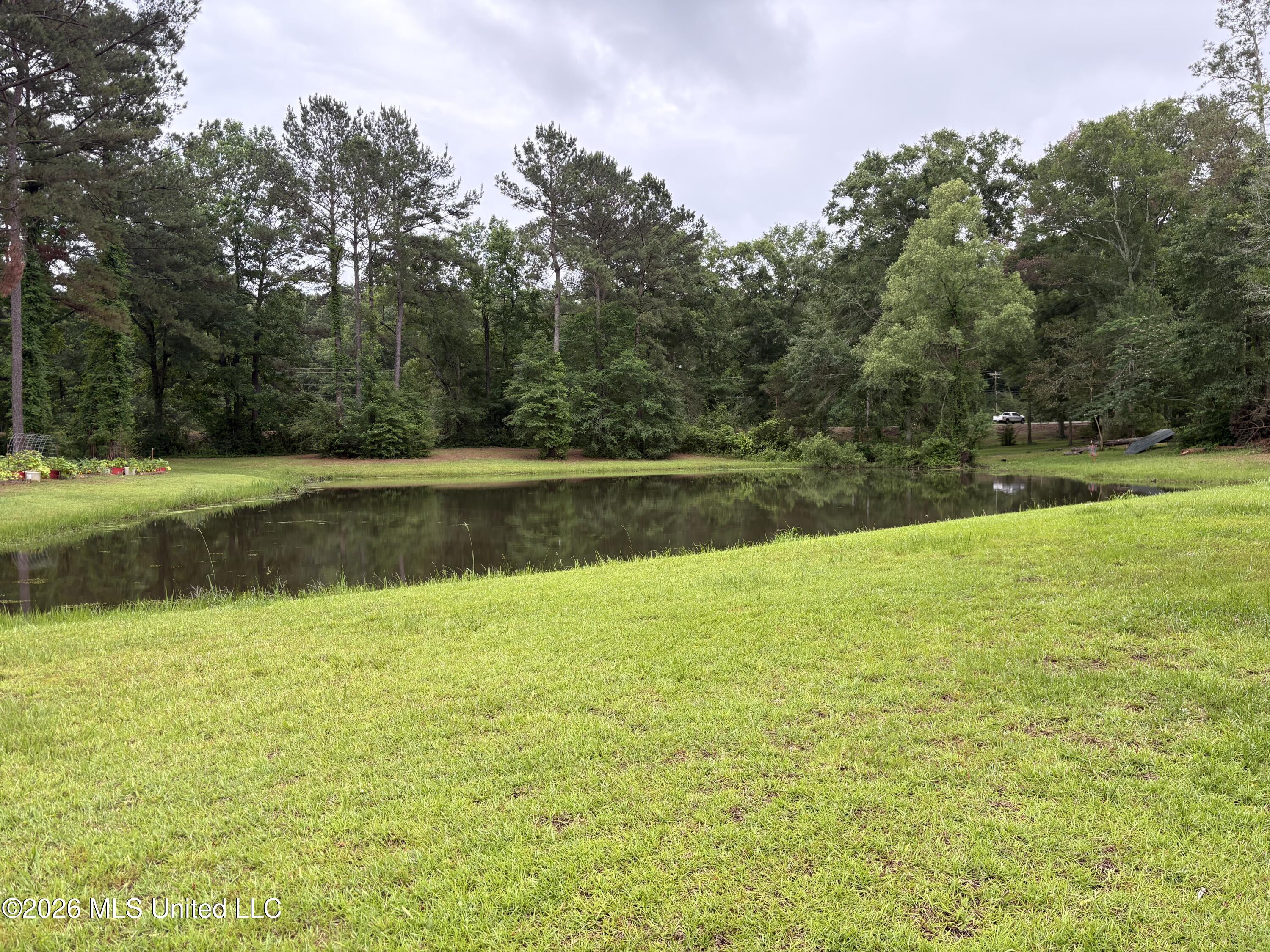 367 Highway 44 Jayess, MS 39641 - Photo 2 of 45 IMG_3832