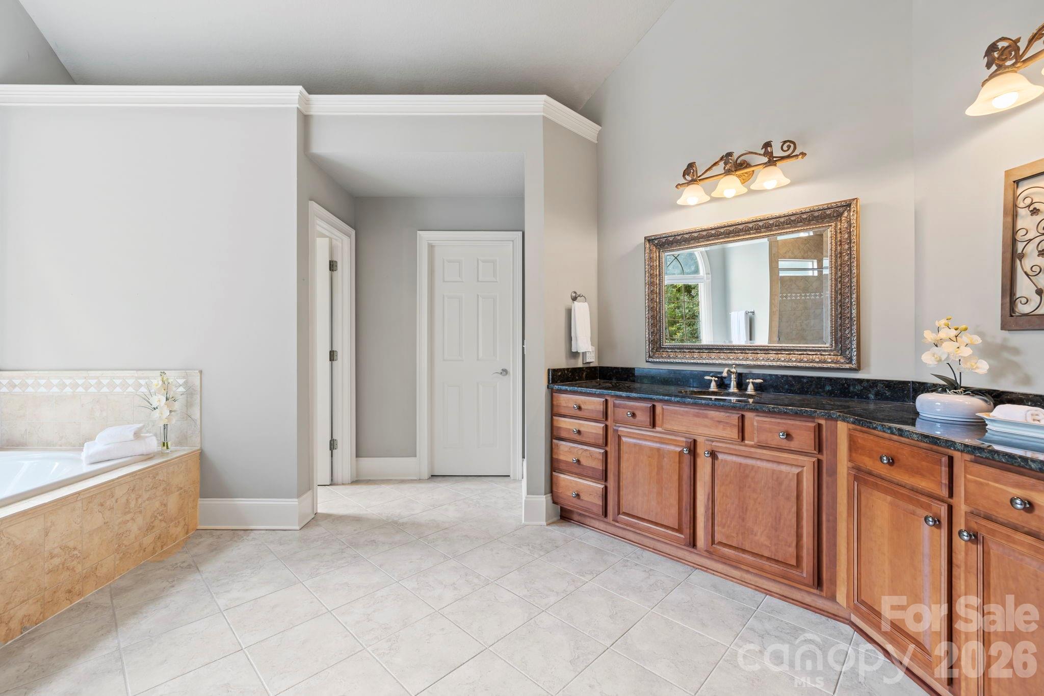 46 Beale Court Fletcher, NC 28732 - Photo 21 of 48 a spacious bathroom with a granite countertop sink and a bathtub