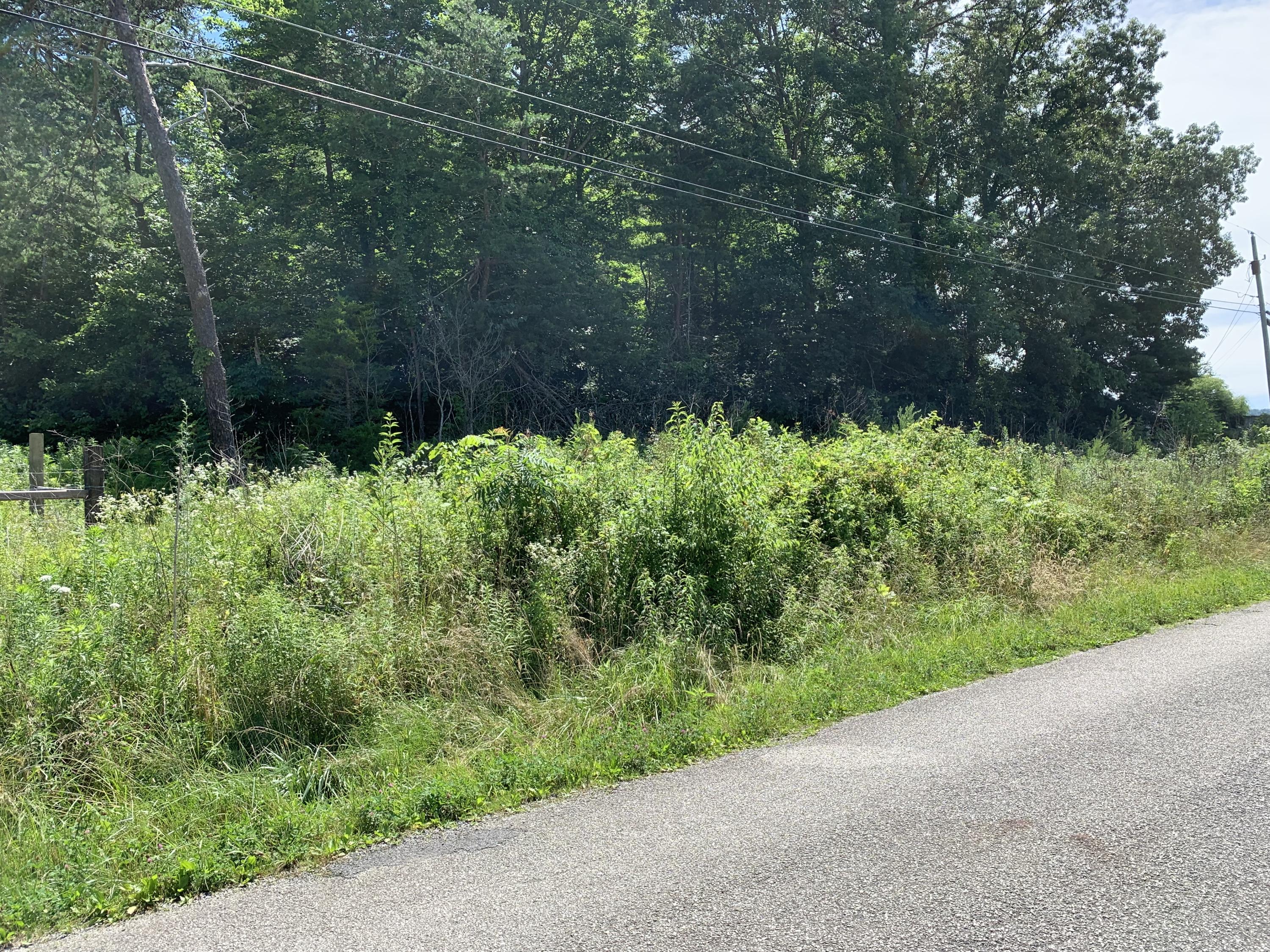Clay Hill Road Winfield, TN 37892 - Photo 4 of 5 IMG_0335