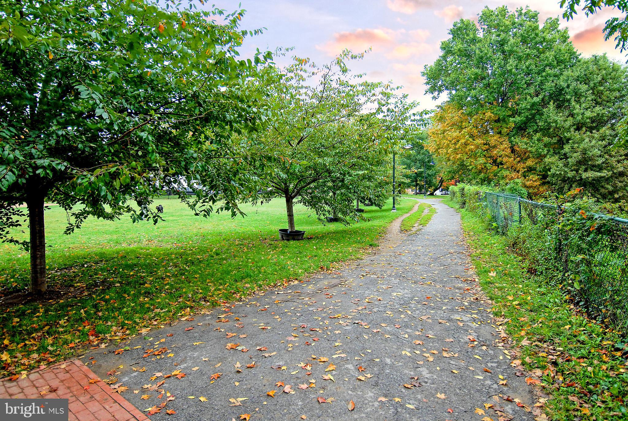 1412 27th Street Northwest Washington, DC 20007 - Photo 23 of 28 a view of a road with a yard