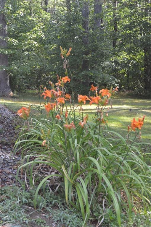 84 Pond Road North Searsmont, ME 04973 - Photo 23 of 28 Photo