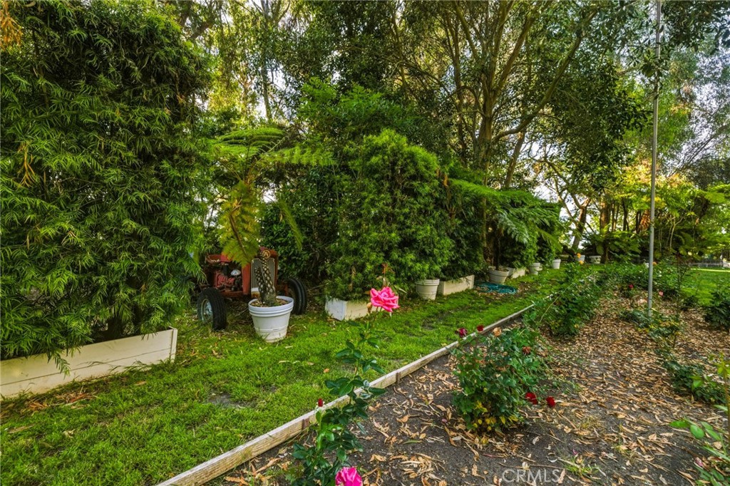 16 Johns Canyon Road Rolling Hills, CA 90274 - Photo 13 of 17 a view of a backyard with sitting area