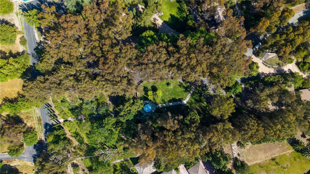 16 Johns Canyon Road Rolling Hills, CA 90274 - Photo 14 of 17 a view of a tree