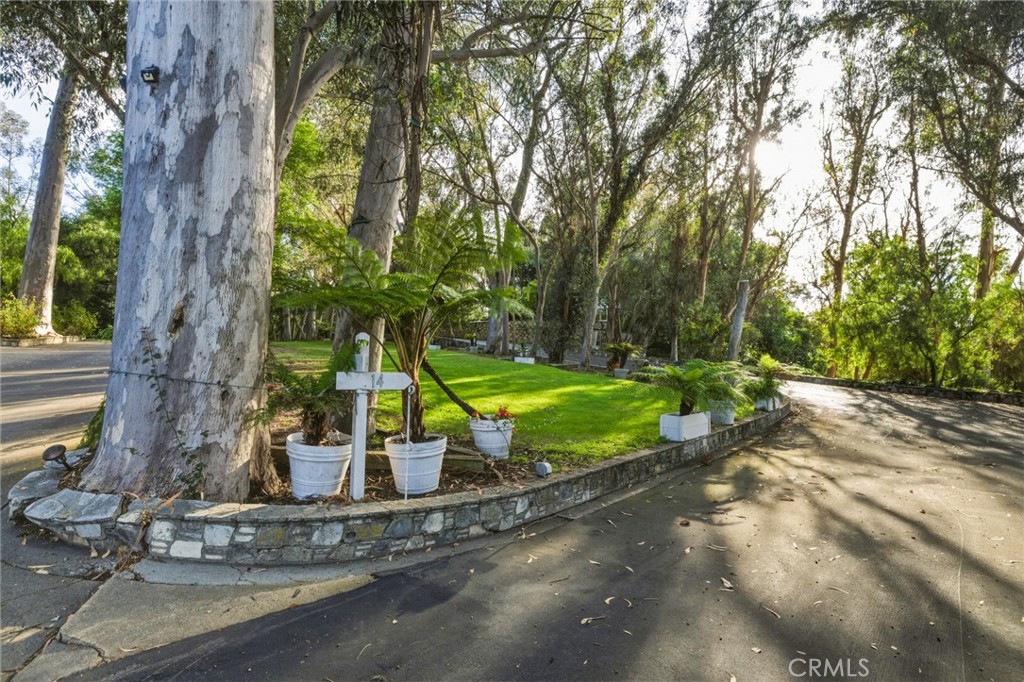 16 Johns Canyon Road Rolling Hills, CA 90274 - Photo 3 of 17 a view of a park with a tree