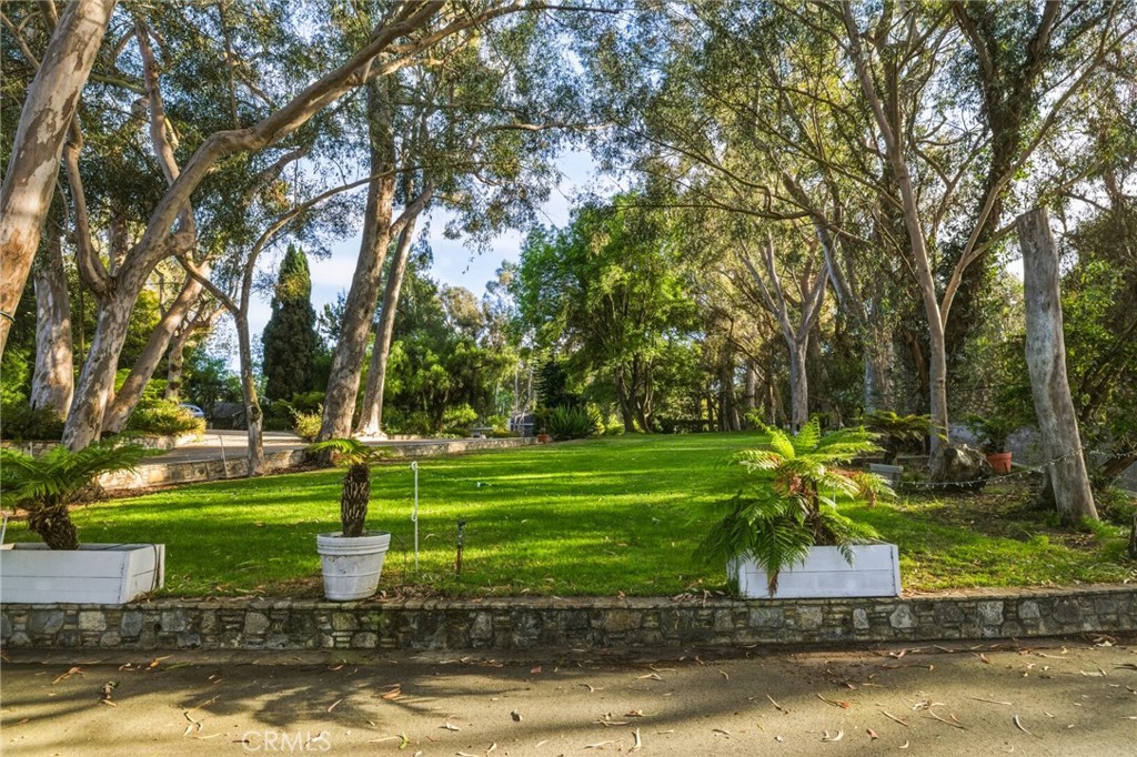 16 Johns Canyon Road Rolling Hills, CA 90274 - Photo 4 of 17 a view of a park with large trees