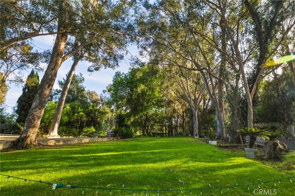 16 Johns Canyon Road Rolling Hills, CA 90274 - Photo 5 of 17 a view of a park with large trees