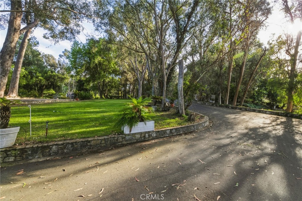 16 Johns Canyon Road Rolling Hills, CA 90274 - Photo 6 of 17 a view of a park with large trees