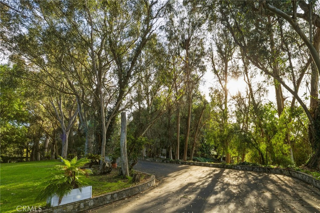 16 Johns Canyon Road Rolling Hills, CA 90274 - Photo 7 of 17 a view of a park with large trees