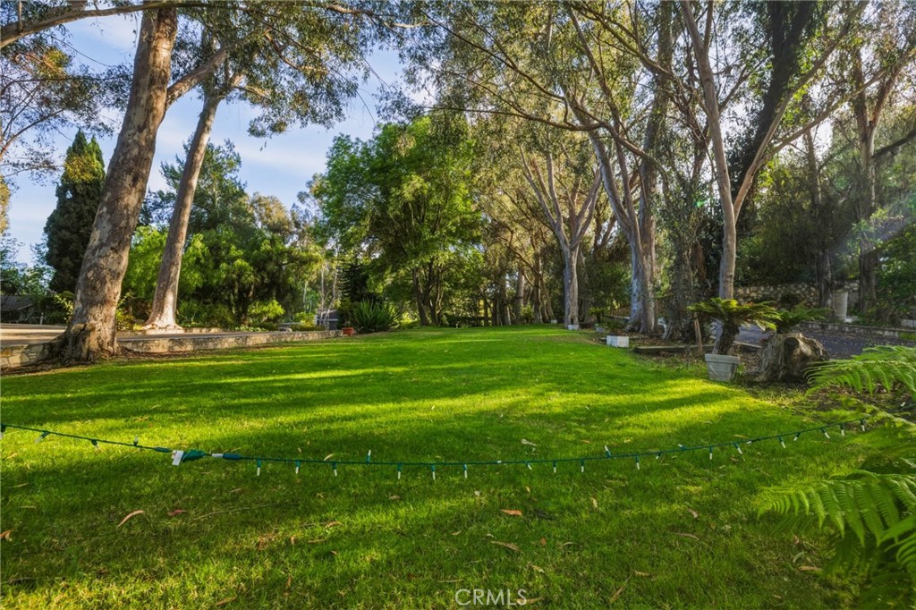 16 Johns Canyon Road Rolling Hills, CA 90274 - Photo 8 of 17 a view of a park