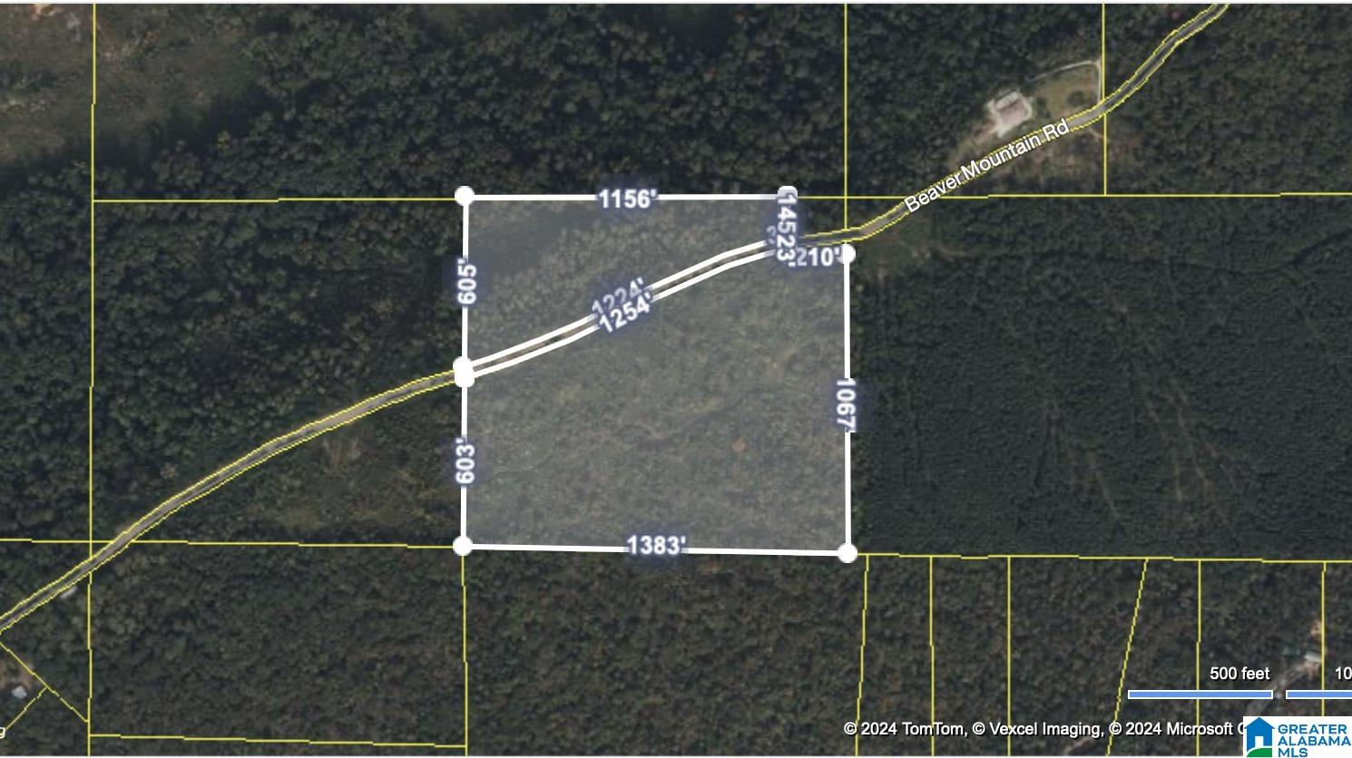 0 Beaver Mountain Road Ashville, AL 35953 - Photo 37 of 40