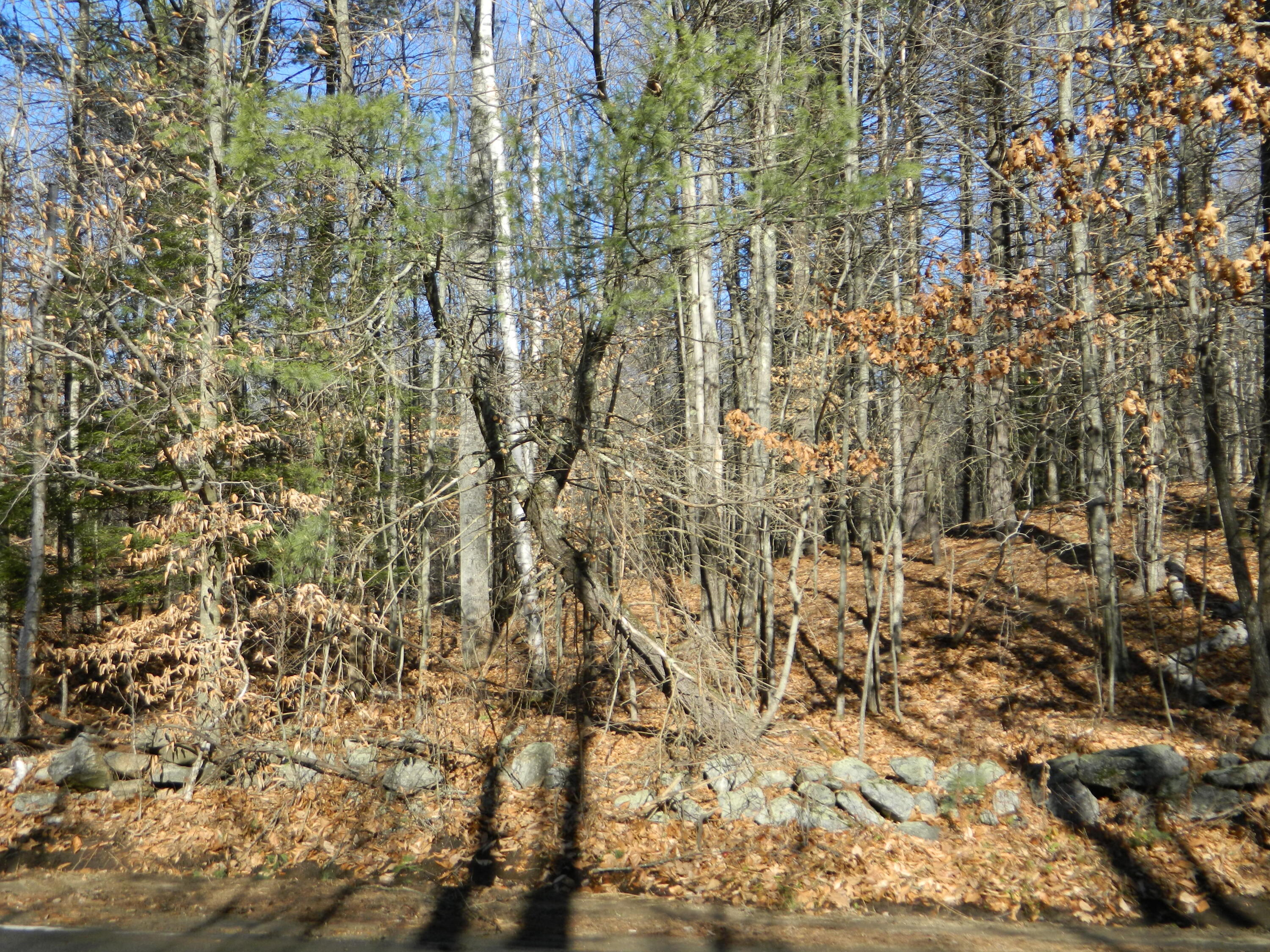 Lot #60 Middle Road Waterboro, ME 04087 - Photo 1 of 6 DSCN9124